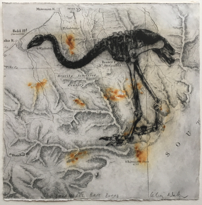The Landscape's Bare Bones