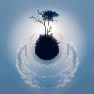 Guardians of the Cordyline