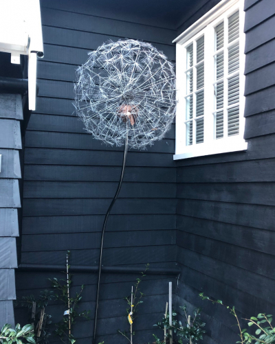 Full Head Dandelion