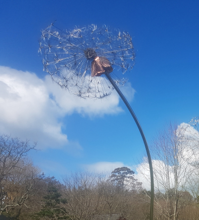 Partly Blown Head