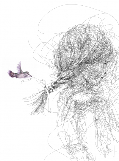 Hummingbird
