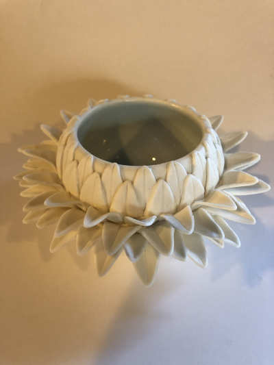Water lily