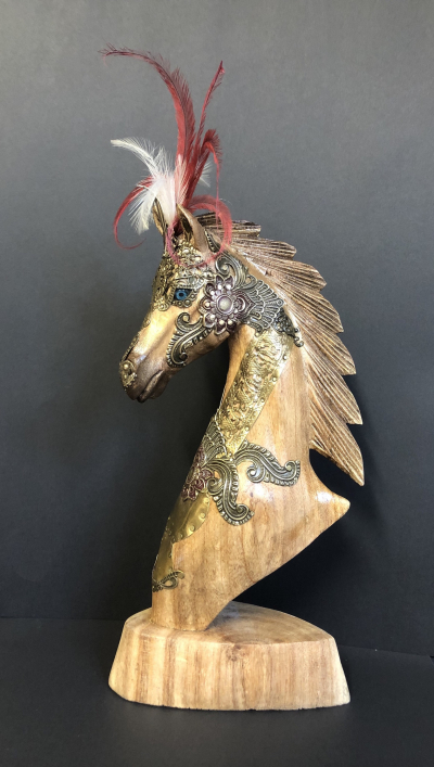 Marwari Dancing Horse