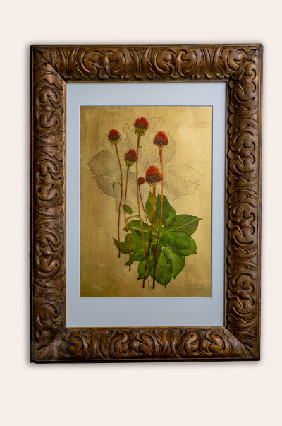Here Is Where We Meet - Cornflower