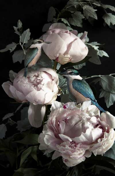 Princes in Peonies