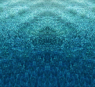 Mariposa Blue, 2020