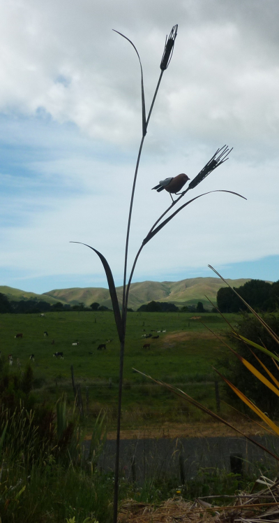 Wheat Sparrow