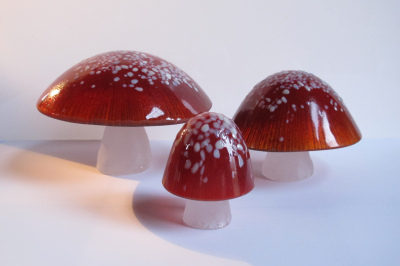 Amarita Muscaria
