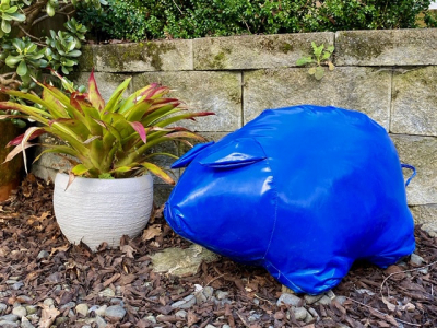 Paradise Piggies - Blue