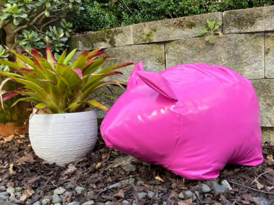 Paradise Piggies - Pink
