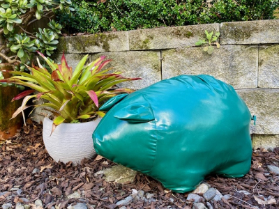 Paradise Piggies - Green