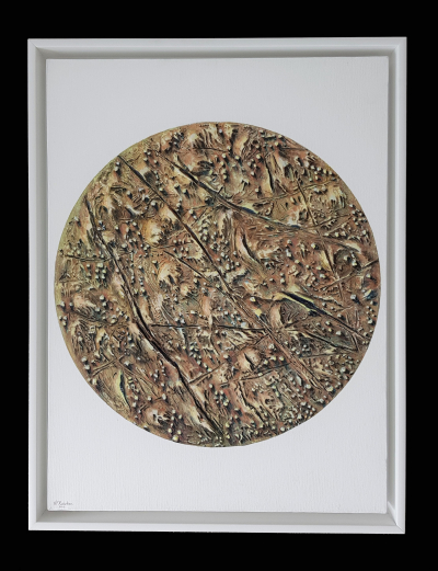 Lunar Landscape