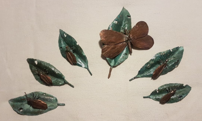 Insects on Leaves