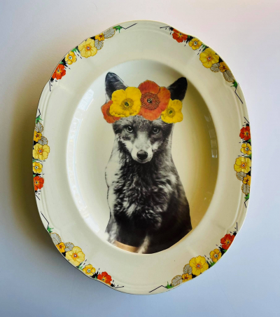 Foxy