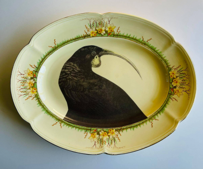 Huia in the Daffodils