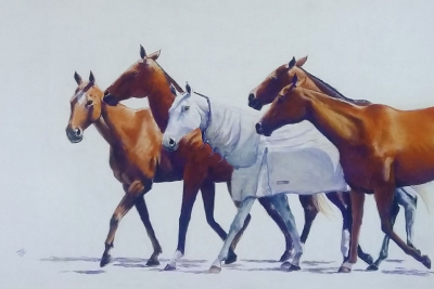 Pony Parade