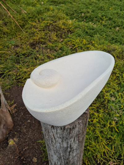 Tuatua Shell