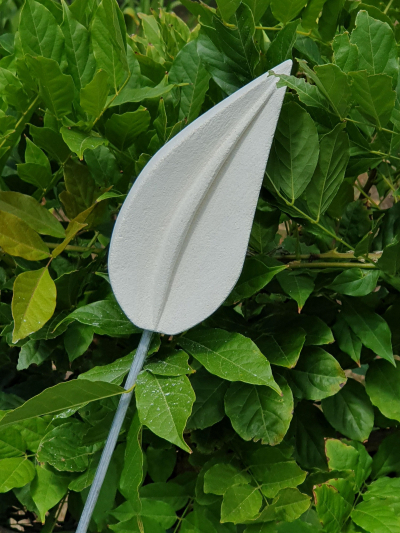 Leaf Fronds