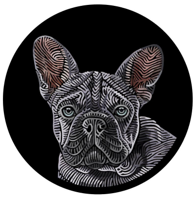 French Bull Dog ‘Faye’