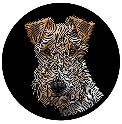 Wire Fox Terrier ‘Truffle’