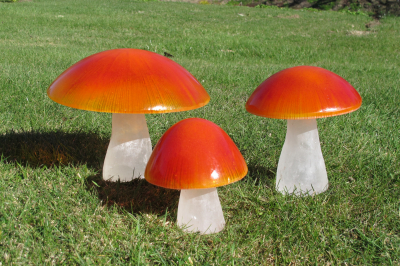 Gliophorus Orange