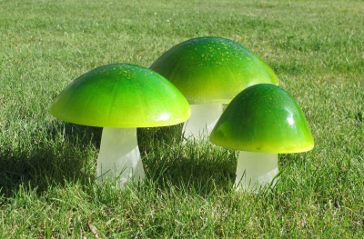 Gliophorus viridis
