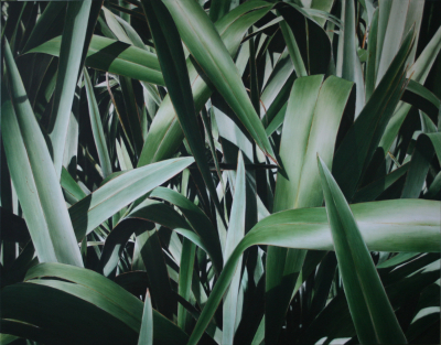 Emerald Path