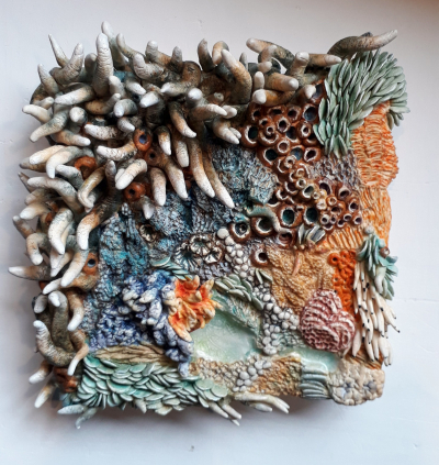 Rockpool Fantasy