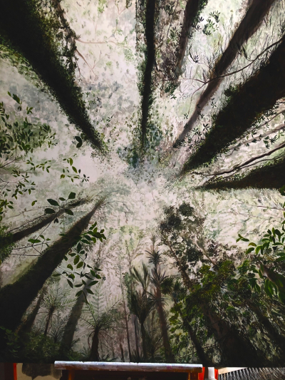 Forest Floor Skyward View