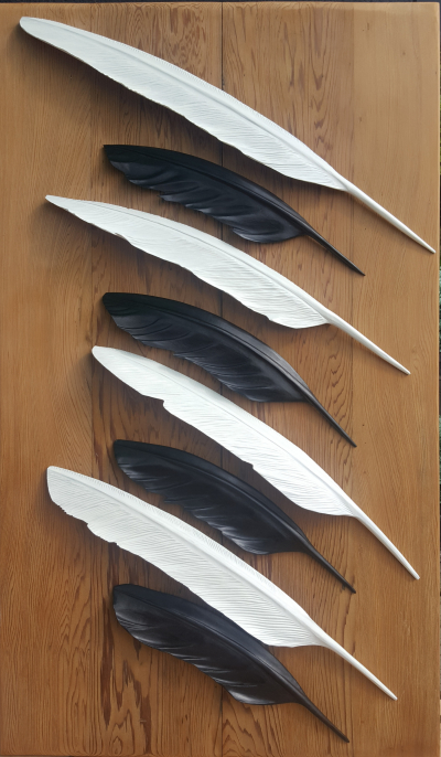 Kotuku