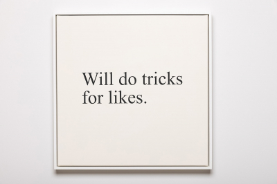 Will do tricks for likes
