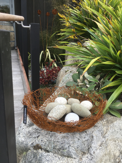 Nest Egg