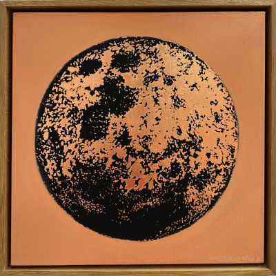 Copper Skin IV