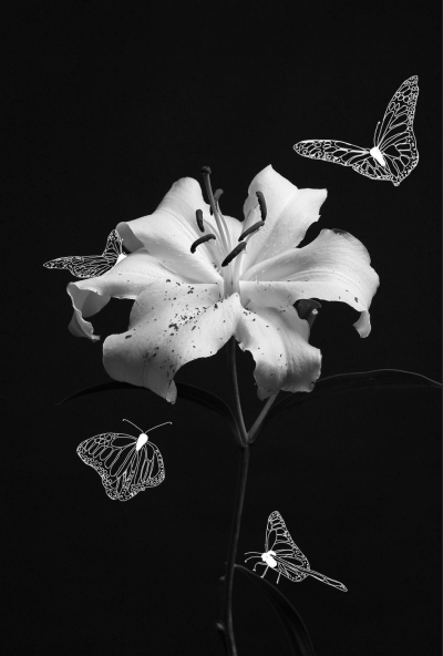 Nature's Imagination
